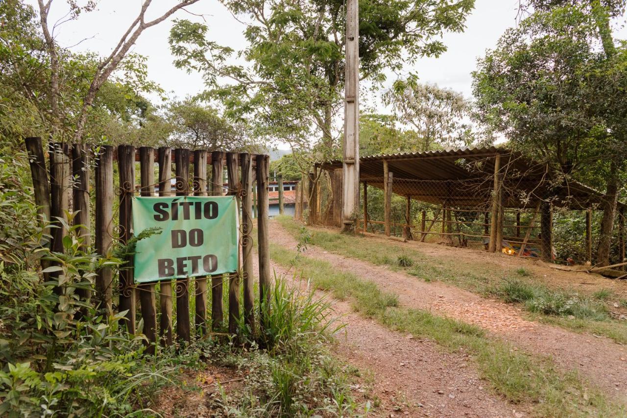 Do Beto Em Macacos