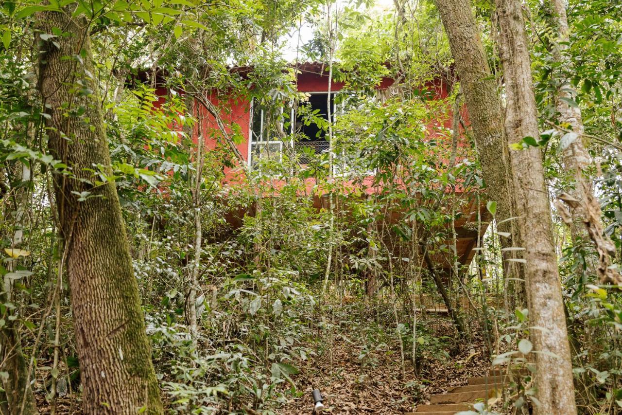 Chalet Do Beto Em Macacos Macacos (Nova Lima)