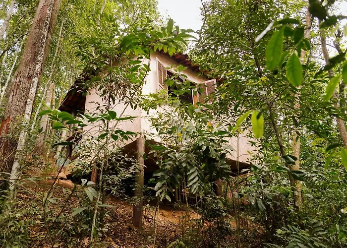 Chales Do Beto Em Macacos
